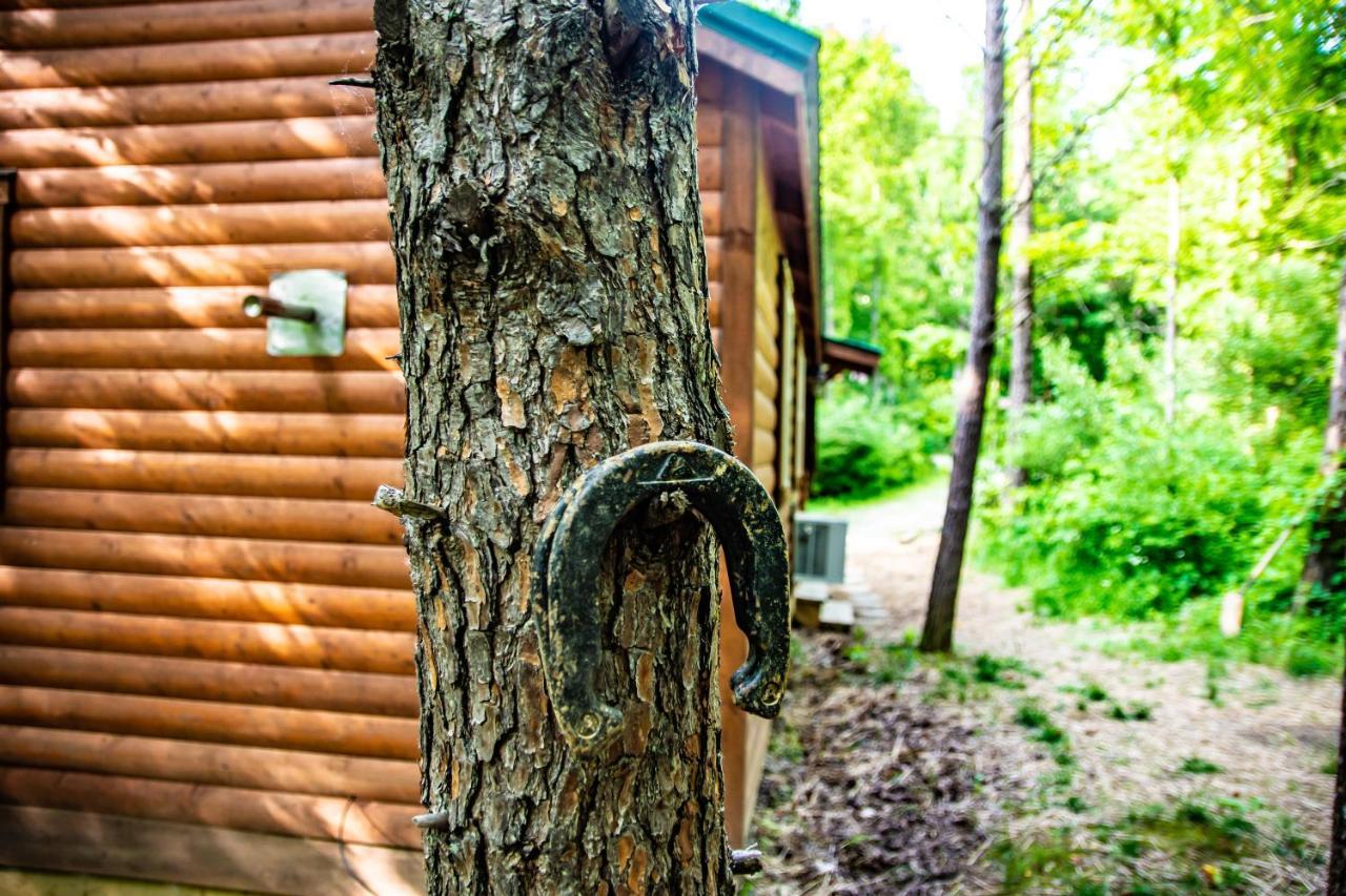 Avenwood Cabins ローガン エクステリア 写真